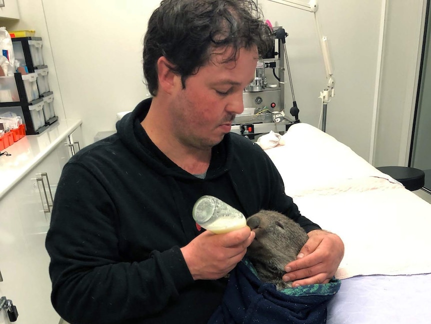 Greg Irons holds a wombat