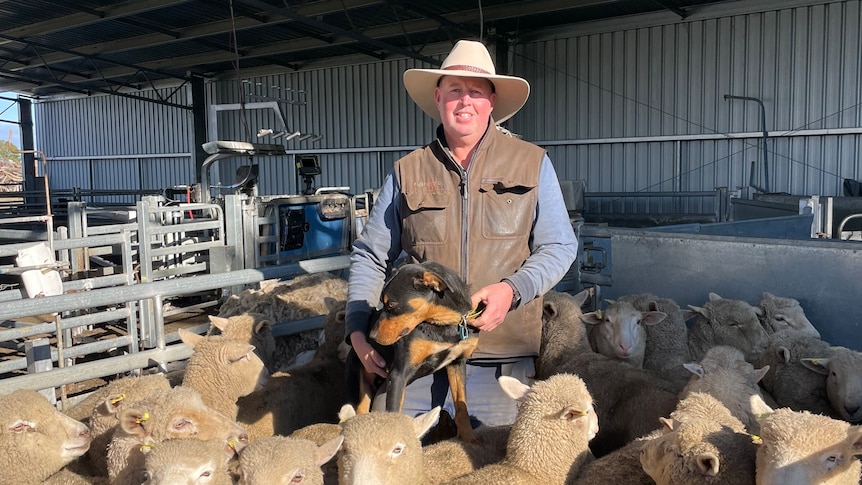 Scott Young standing with lambs