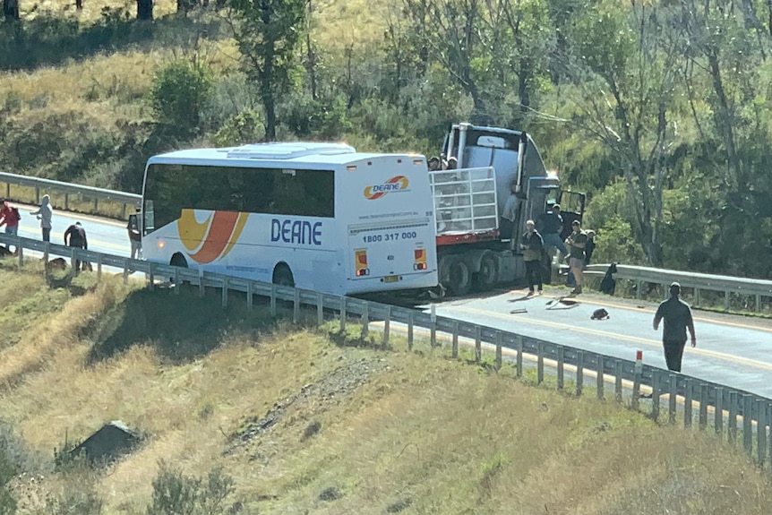 A bus and a truck at a stand still which appear to have crashed in to one another. 