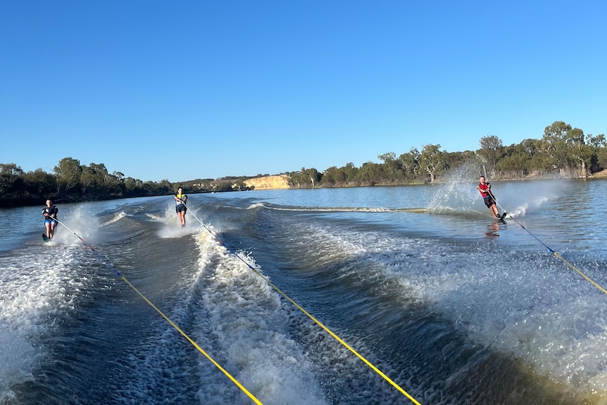 Three people water skiing on a river. They are moving through the waves. The water and sky is bright blue.