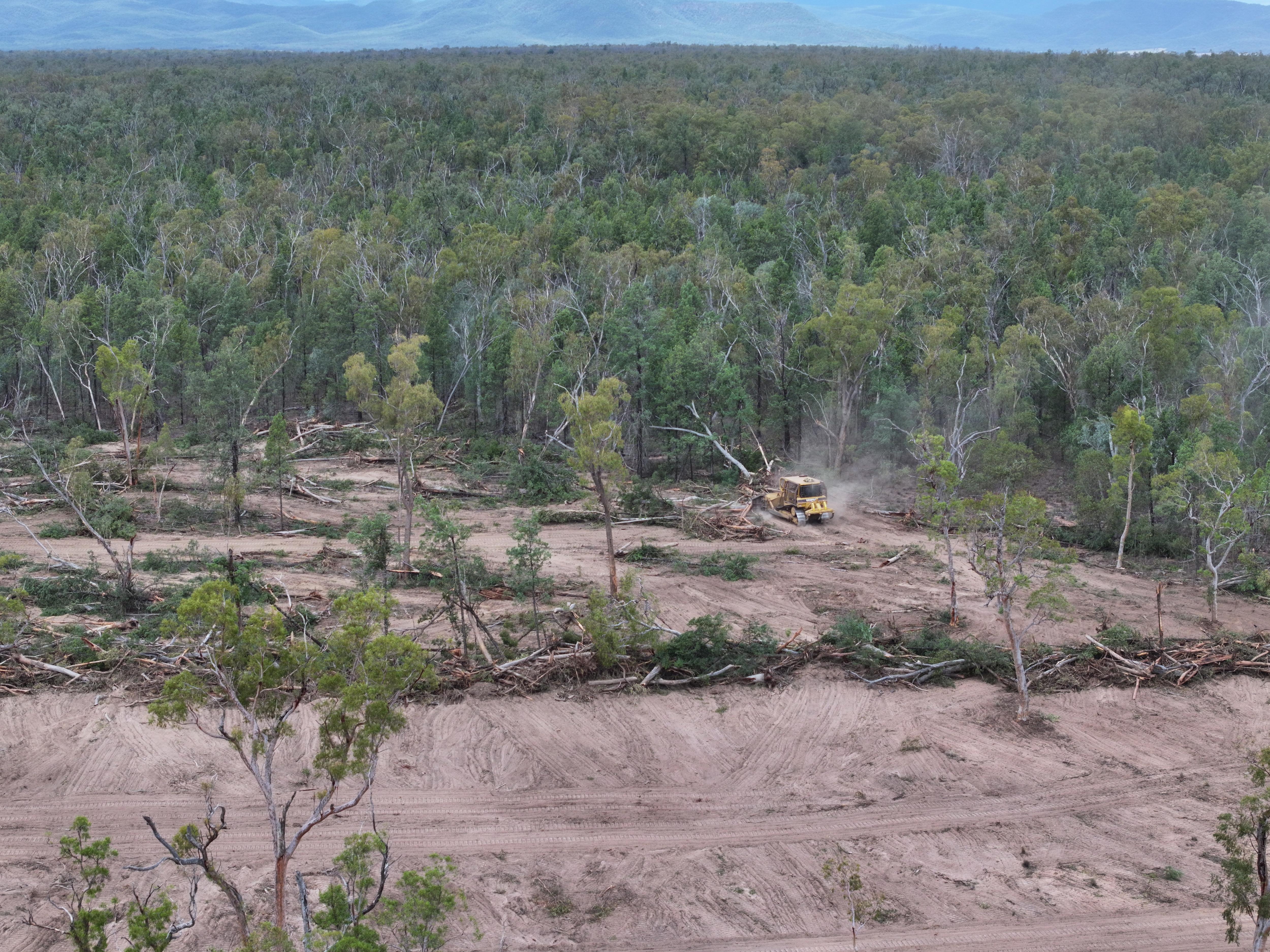 Native plant 'invasive' code sparks outrage, 3.2m hectares at risk