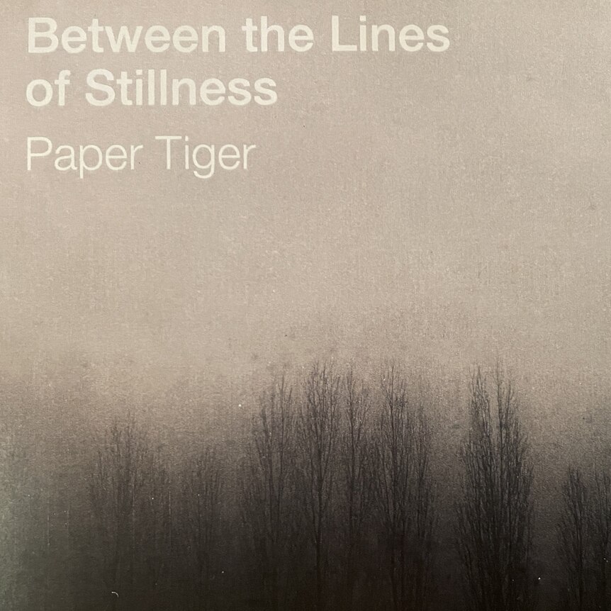 Between the Lines of Stillness Paper Tiger COVER