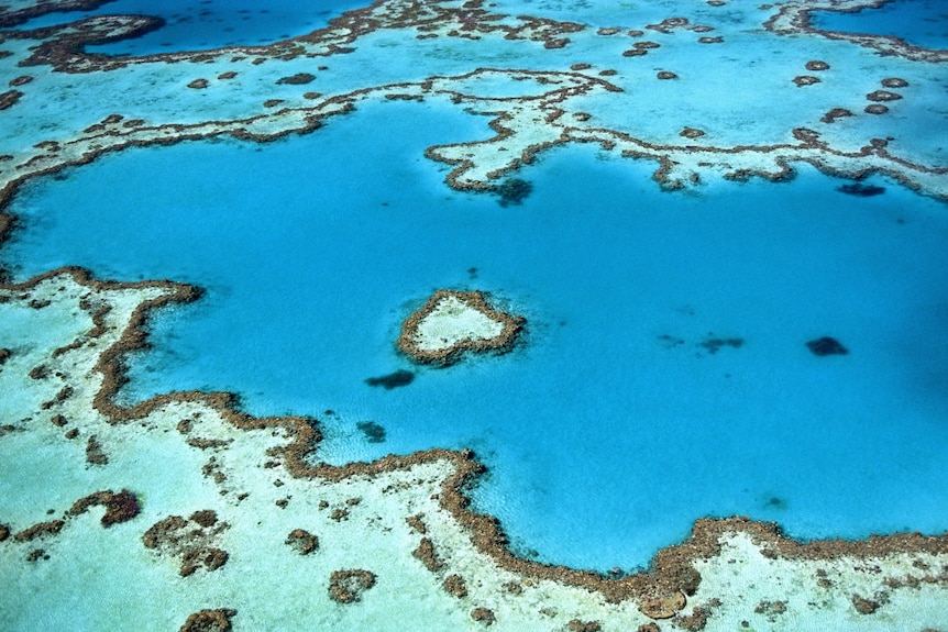 Aerial view of a heart-shaped coral reef