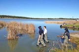 Federal Environment Minister Mark Butler wades into the lower lakes of the Murray