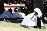 Three tents in the middle of a park, with tall green trees around the grassed area, and a person standing outside a tent.