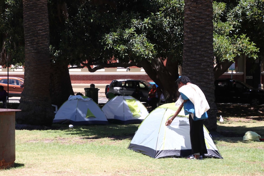 Three tents in the middle of a park, with tall green trees around the grassed area, and a person standing outside a tent.