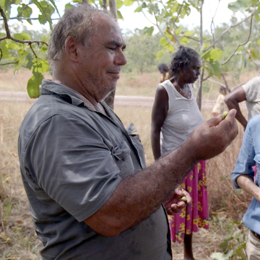 A man in a grey shirt looks down at a small green plum in his hand.