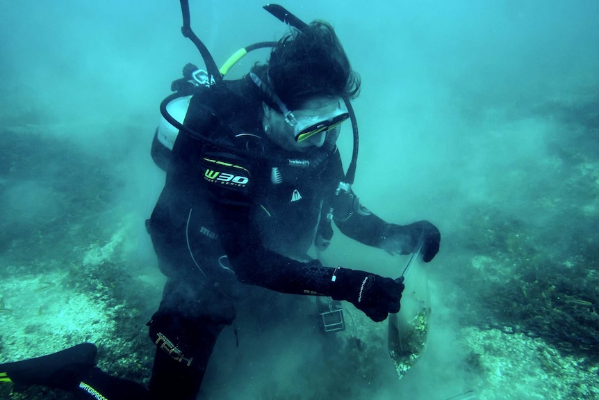 A SCUBA diver taking underwater samples.