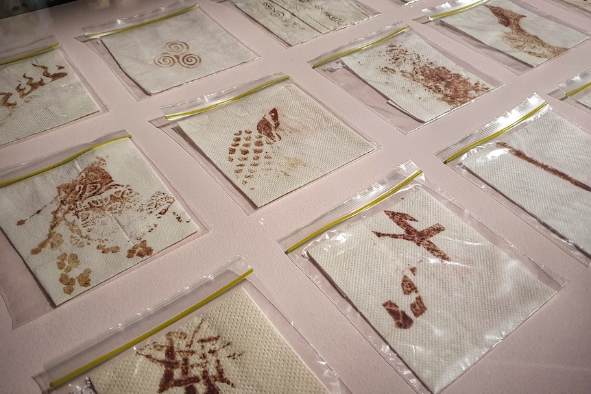 A series of paper towels with blood on them, inside plastic zip-lock bags as part of an art exhibition,