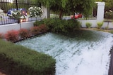 Hailstones in Adelaide front yard