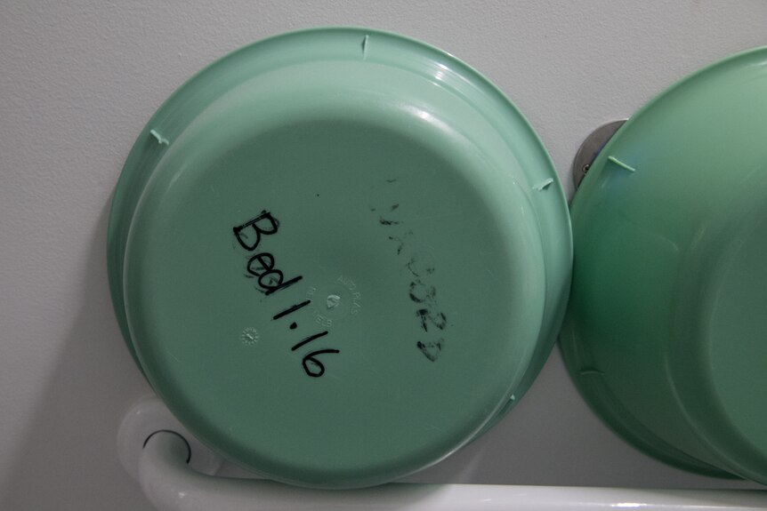 A bedpan in an aged care facility in NSW.