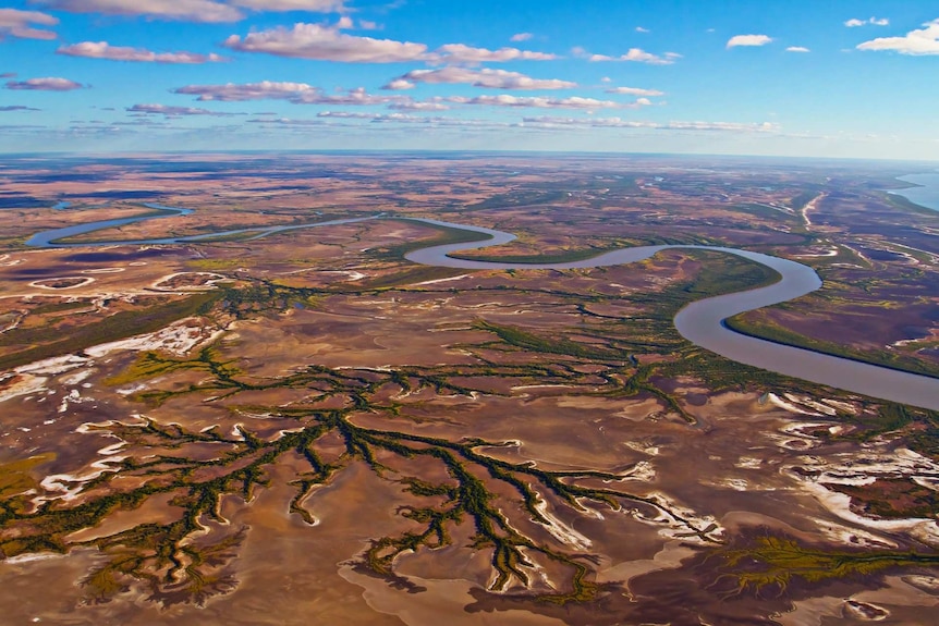 Aerial view of salt planes with a mangrove-fringed river snaking through the middle.