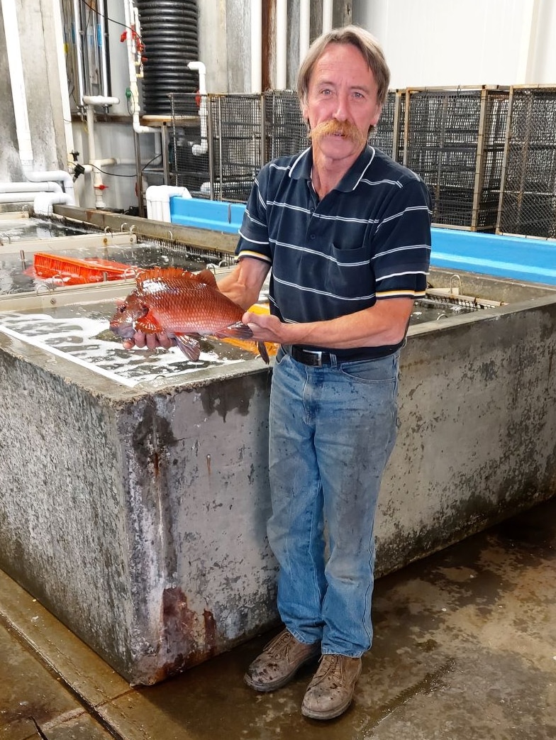 Man holding a banded morwong fish.