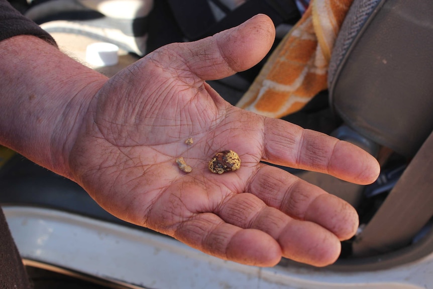 A close up of a hand holding a small nugget of gold