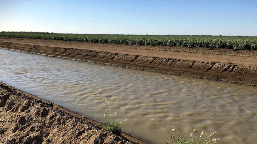 Irrigation channel in Moree