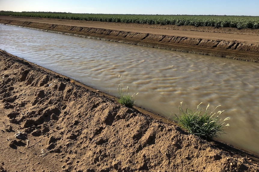 Irrigation channel in Moree