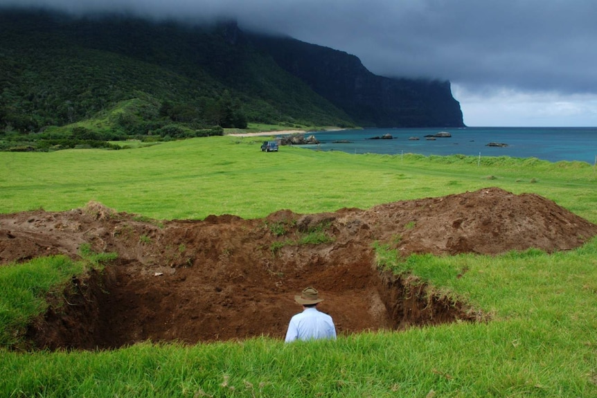 The back of a man's head pops out from a deeply-dug hole in the ground overlooking a beautiful and grassy coastland.