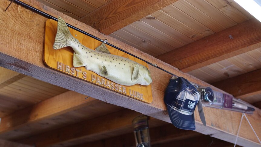 A trophy fish, cap and fishing rod displayed on a ceiling beam inside a cabin.