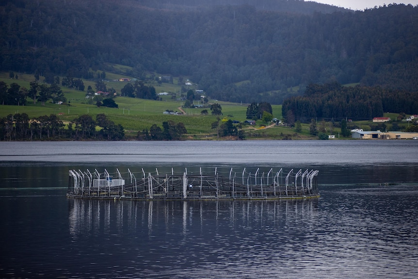 A salmon pen on a gloomy day.