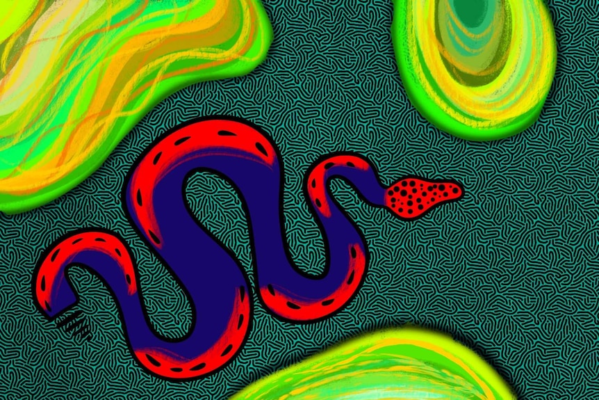 A colourful illustration of a snake in water