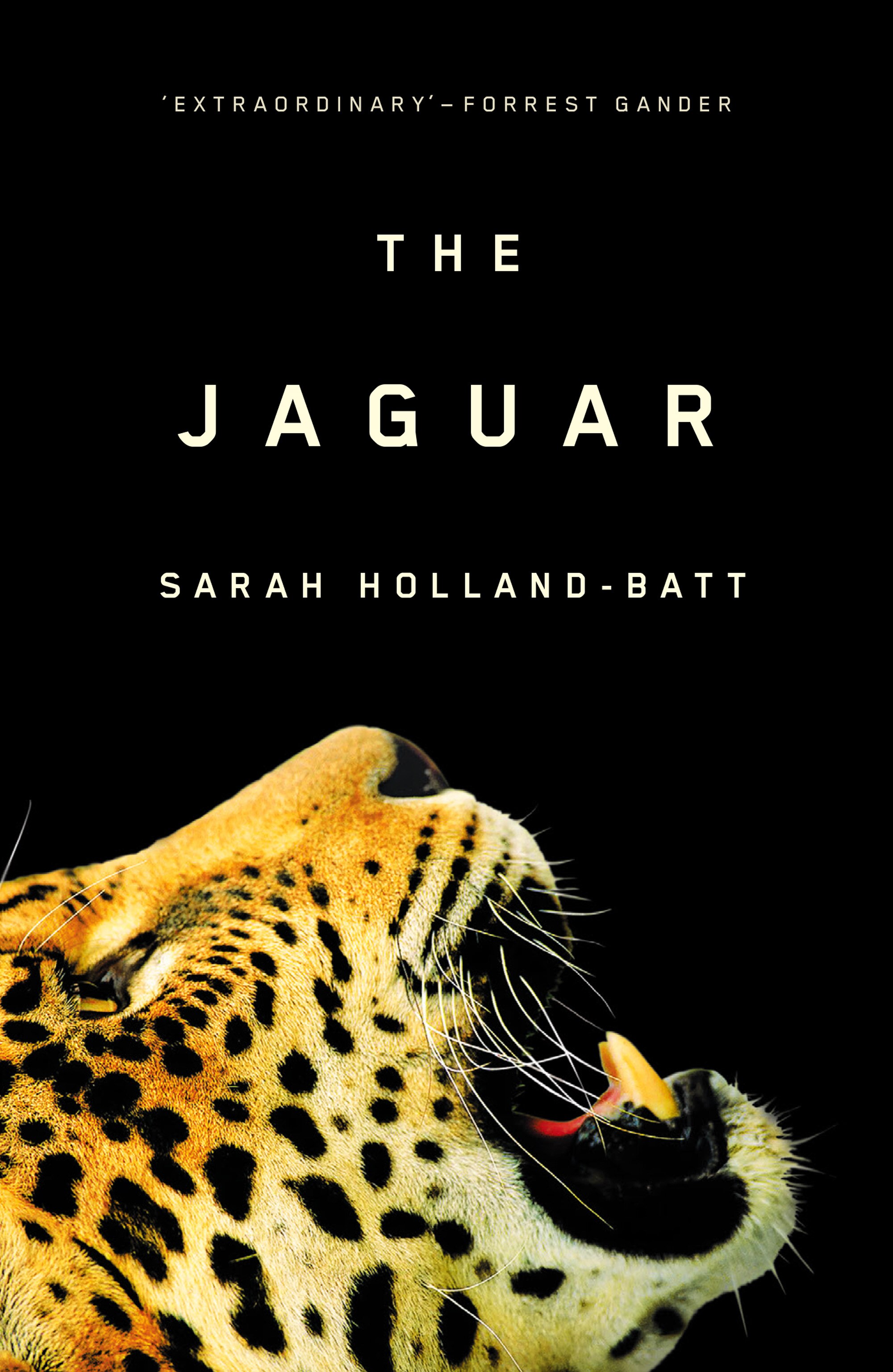 Cover of The Jaguar Sarah Holland-Batt featuring a close-up of a jaguar looking  up against a black background
