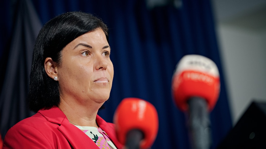 NT-Chefministerin Natasha Fyles kritisiert in der CEDA-Wirtschaftsrede die Gegner des Middle Arm-Industriezentrums