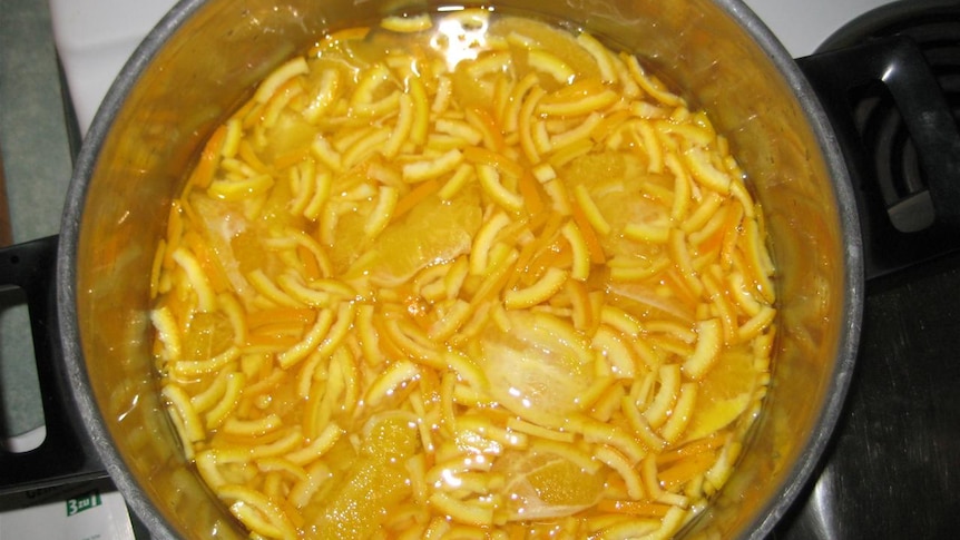 A pot full of chopped-up oranges simmering on the stove.