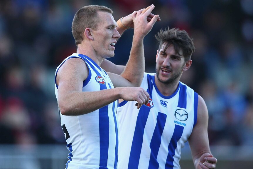 Drew Petrie and Jarrad Waite celebrate a North Melbourne goal