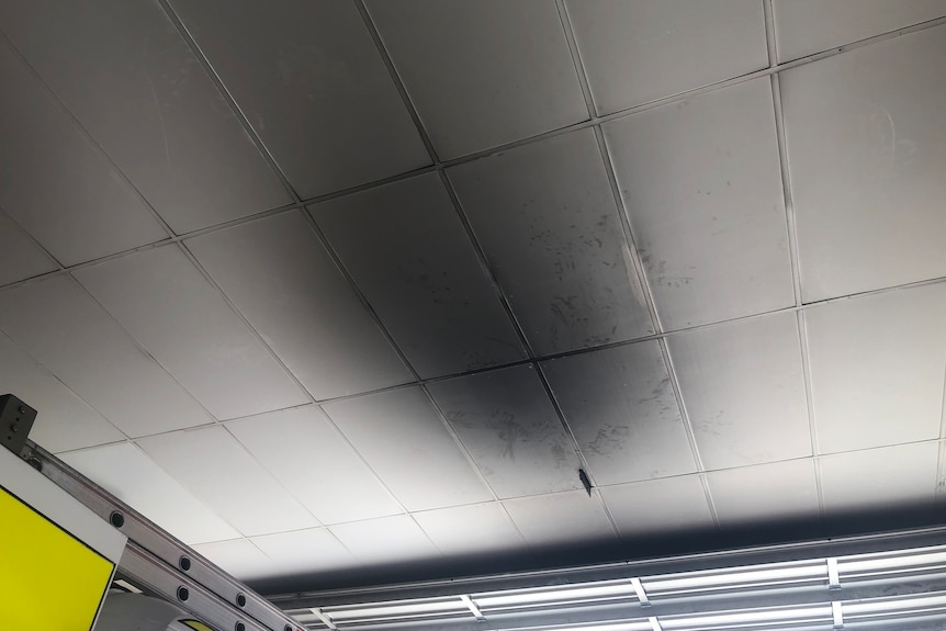 Black stains on a ceiling