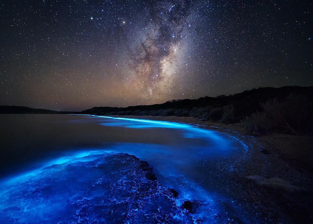 Glowing sea water at a beach in Tasmania, with a starry sky.