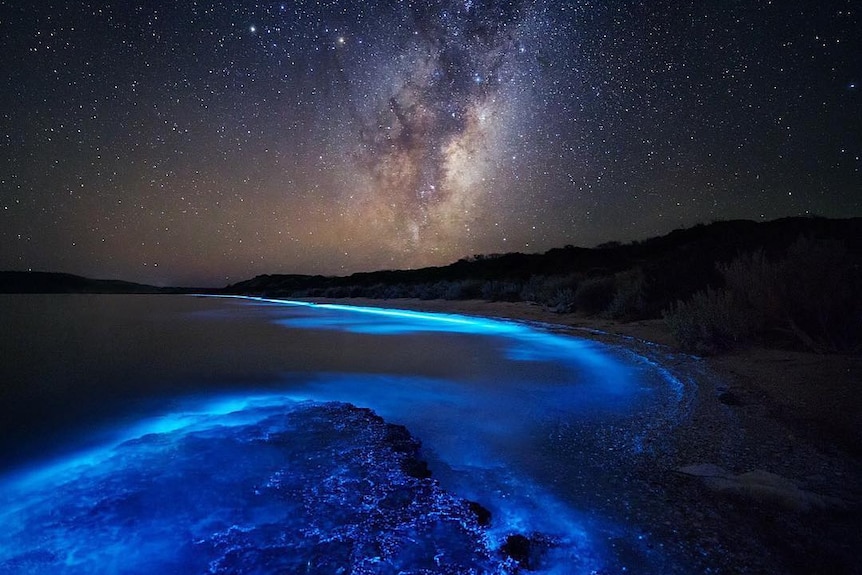 Glowing sea water at a beach in Tasmania, with a starry sky.