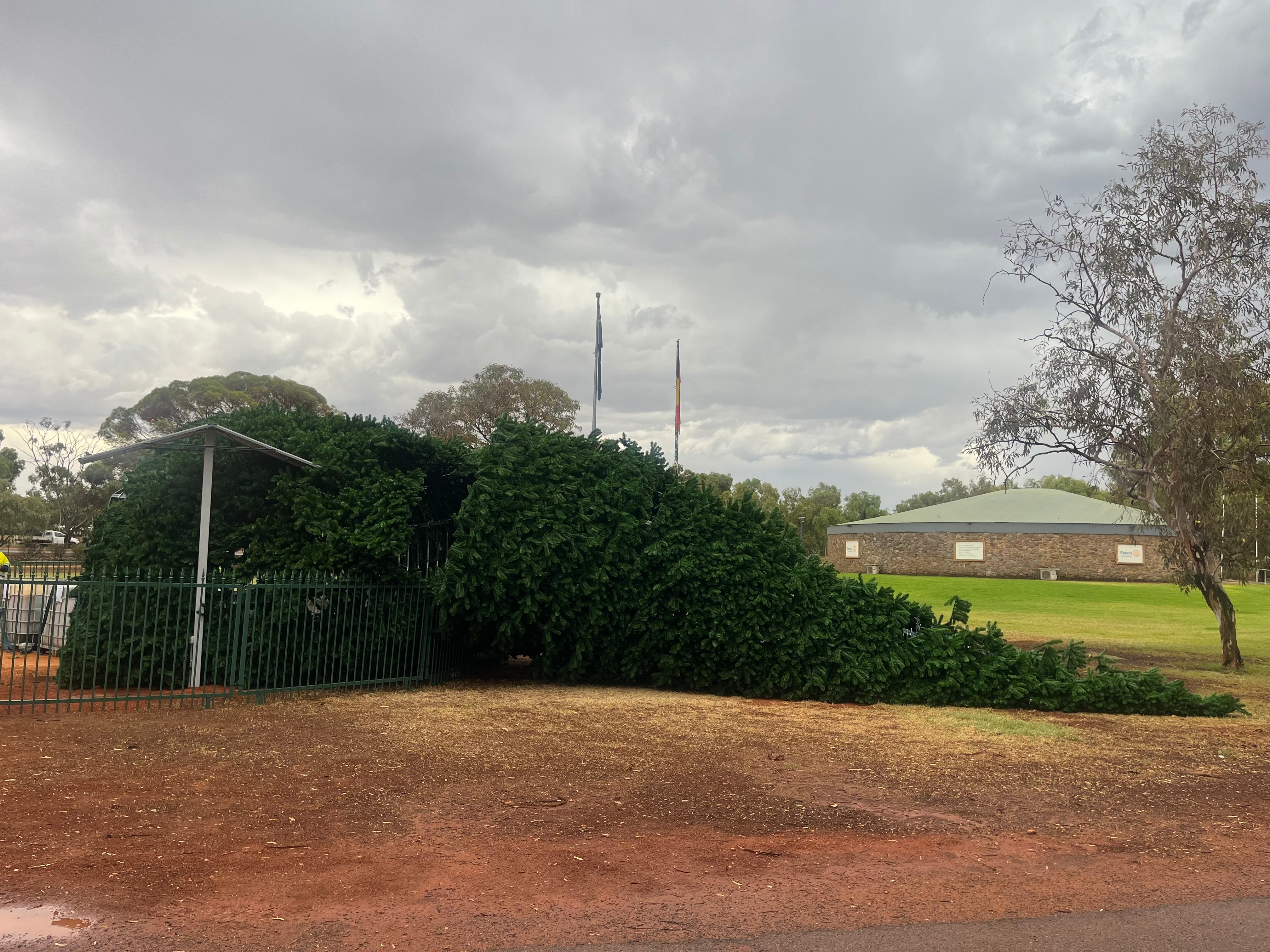 Kalgoorlie Christmas tree damage