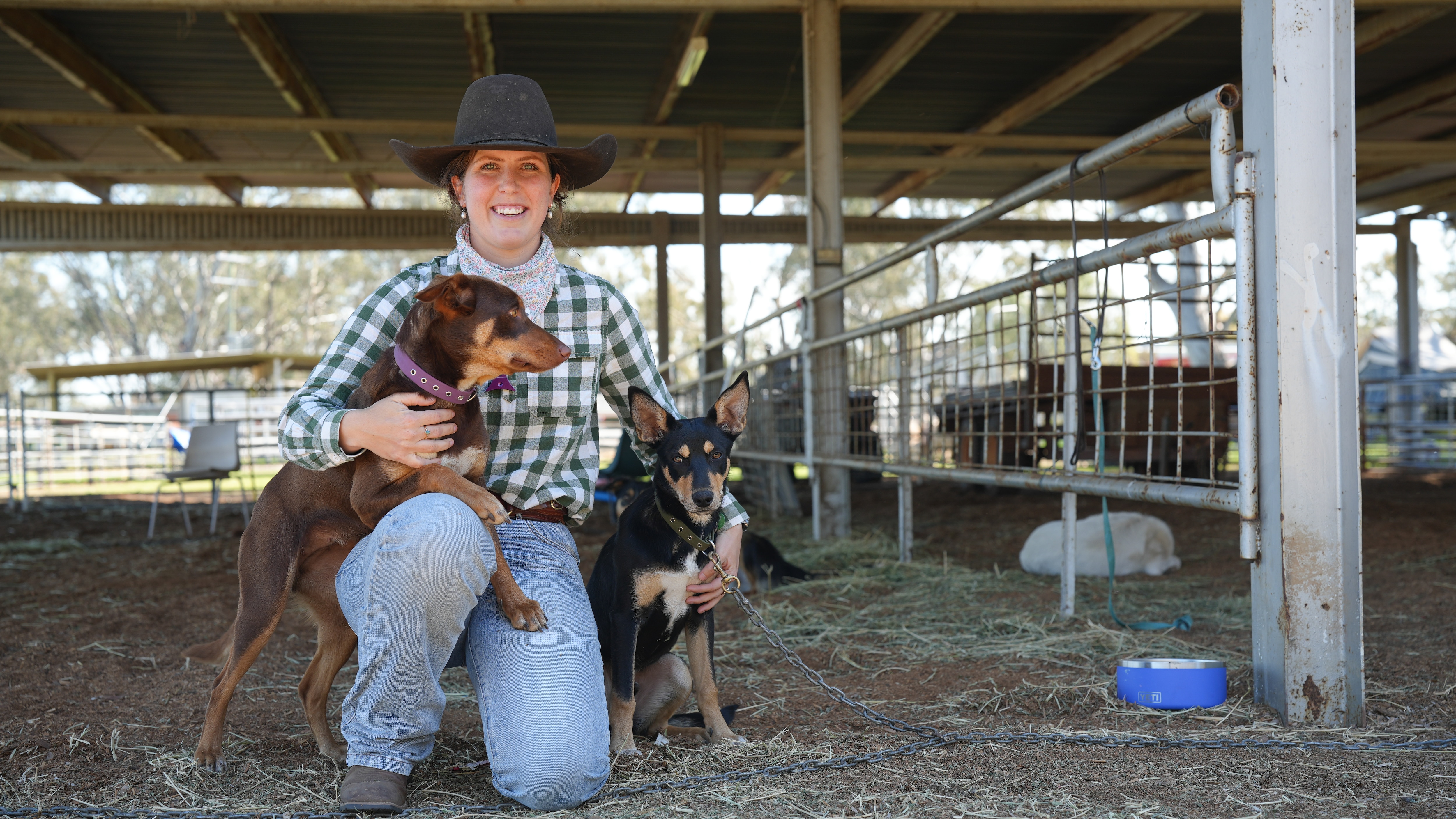 People with sheep and dogs.