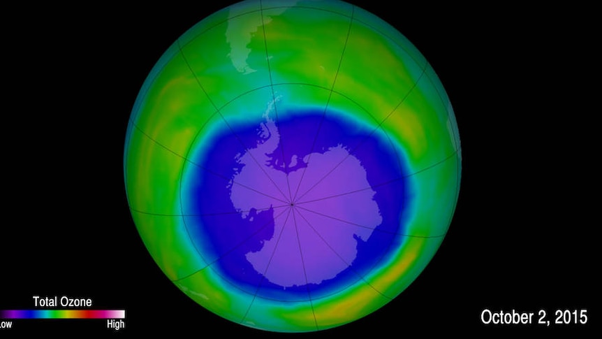 A map of the ozone hole in 2015