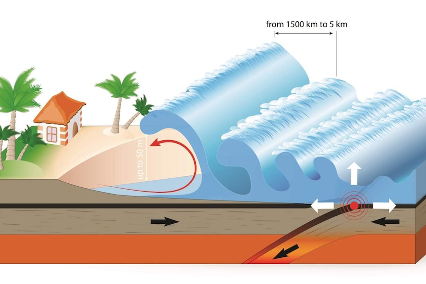 A chart of how a tsunami gathers force from the sea to the shore.