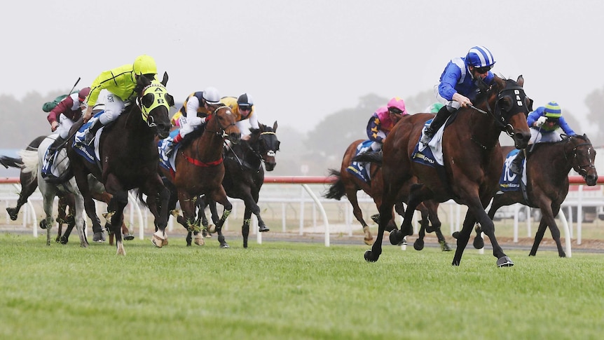 James McDonald (2nd R) riding Almoonqith wins the 2015 Geelong Cup ahead of Dandino (yellow).