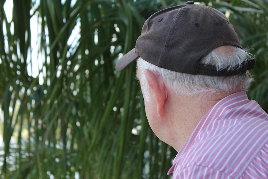 An elderly man's head from behind looking out at palm trees.