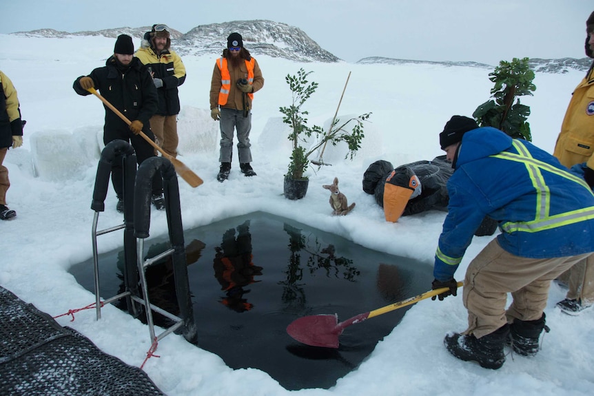 Ice swim 2