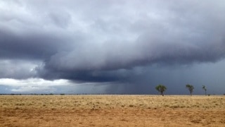 Queensland farmers welcome rain