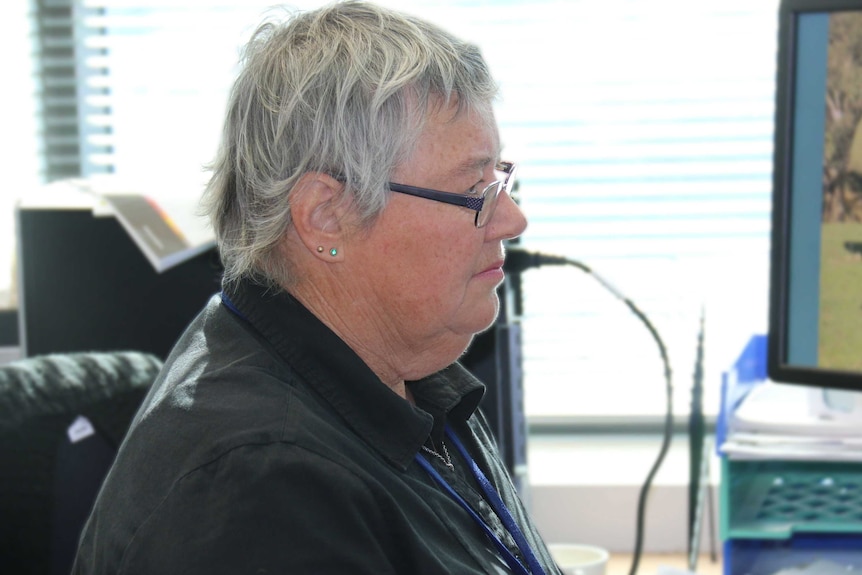 Professor Laurie Brown sitting at desk looking at computer