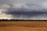 Hay Plains rain