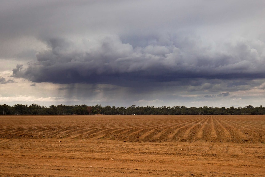 Hay Plains rain