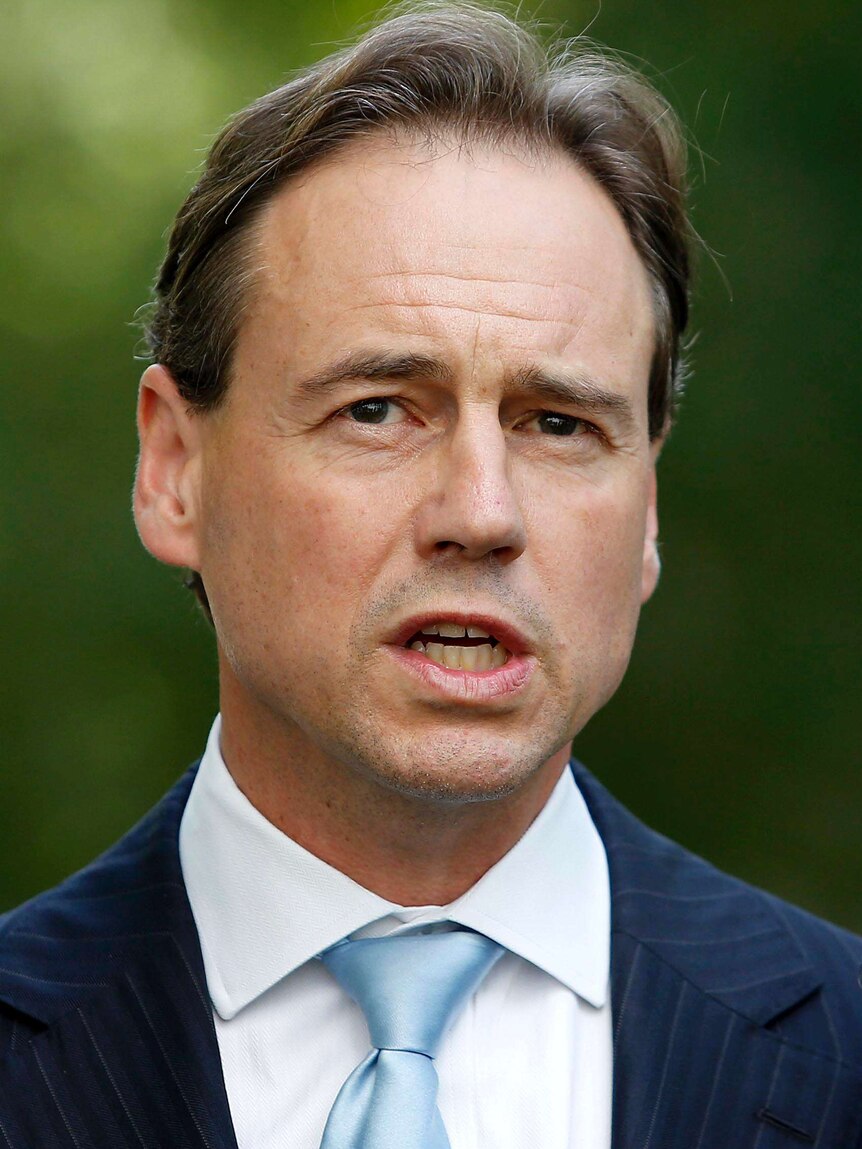 Environment Minister Greg Hunt speak during a press conference at Parliament House in Canberra.