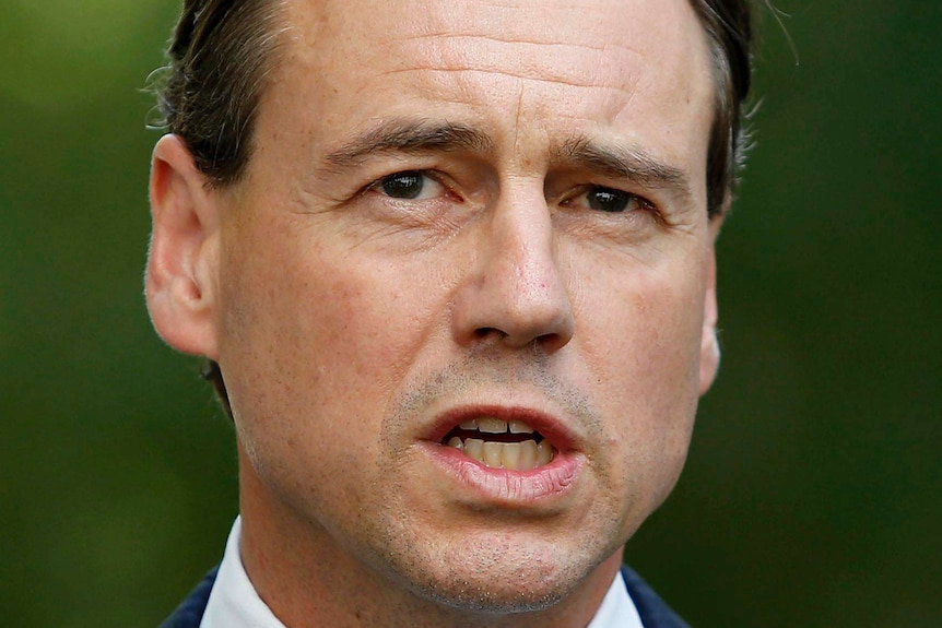 Minister for Environment Greg Hunt speak during a press conference at Parliament House in Canberra.