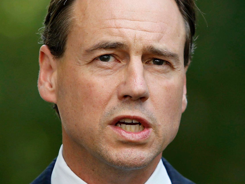 Minister for Environment Greg Hunt speak during a press conference at Parliament House in Canberra.