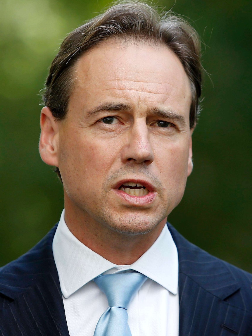Minister for Environment Greg Hunt speak during a press conference at Parliament House in Canberra.