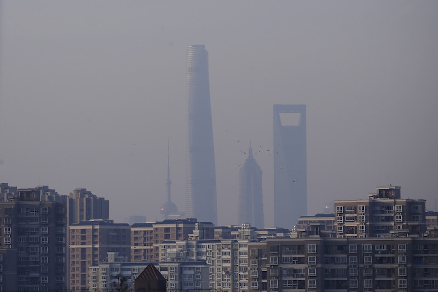 Widok na drapacze chmur w Szanghaju, Oriental Pearl Tower, Shanghai Tower, Jin Mao Tower i Shanghai World Financial Center.