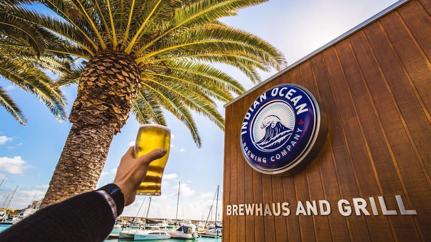 An arm raising a beer in front of a palm tree.