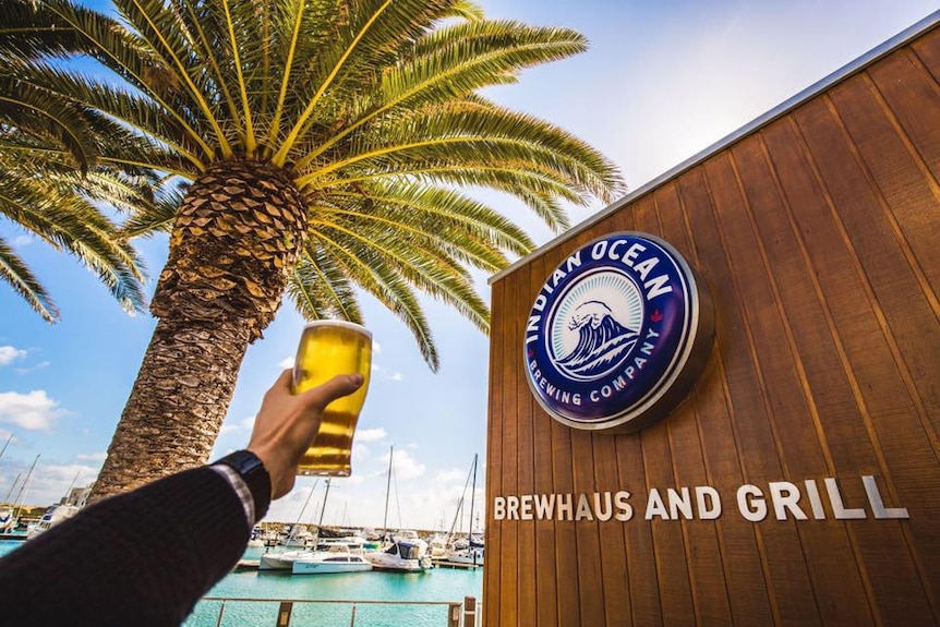 An arm raising a beer in front of a palm tree.