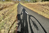 The silhouette of a cyclist looms over a cycle path in the middle of a field.